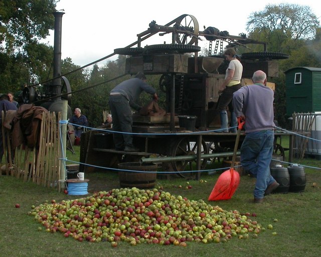 Cider apples being pressed at a farm open day